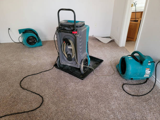  Arlington Heights, WA Water damage restoration Pros