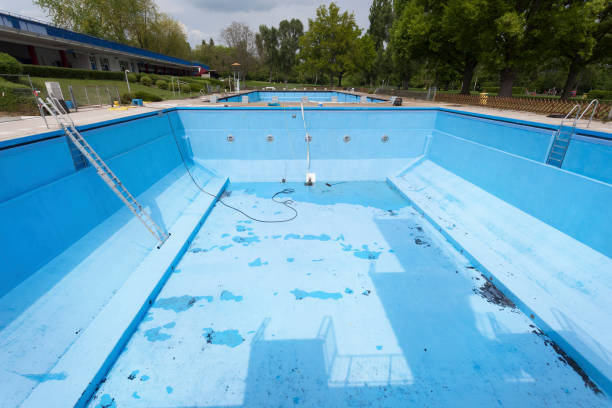 Best Mold removal after water damage  in Arlington Heights, WA