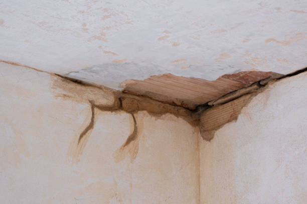Best Fire Damage Restoration  in Arlington Heights, WA