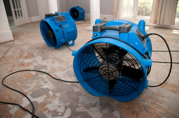 Trusted Arlington Heights, WA Water damage restoration Experts