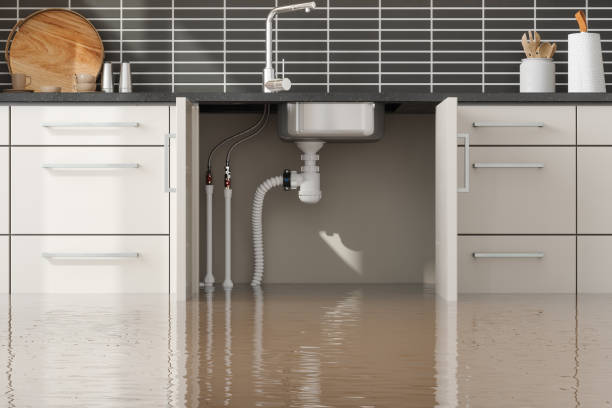 Best Commercial water damage restoration  in Arlington Heights, WA