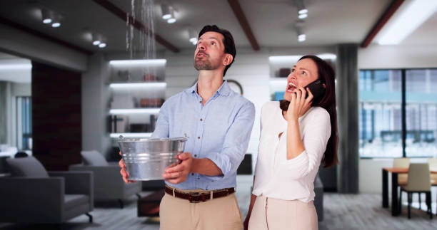 Best 24-hour water damage restoration  in Arlington Heights, WA