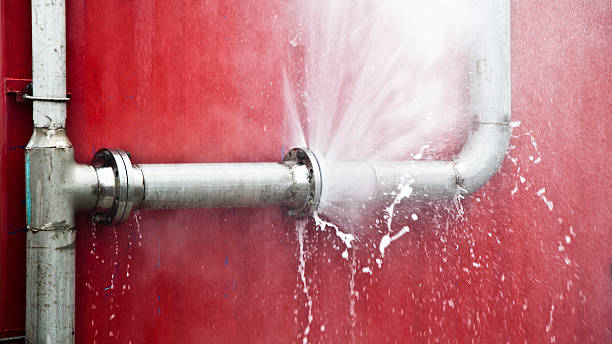 Best Water damage restoration services  in Arlington Heights, WA